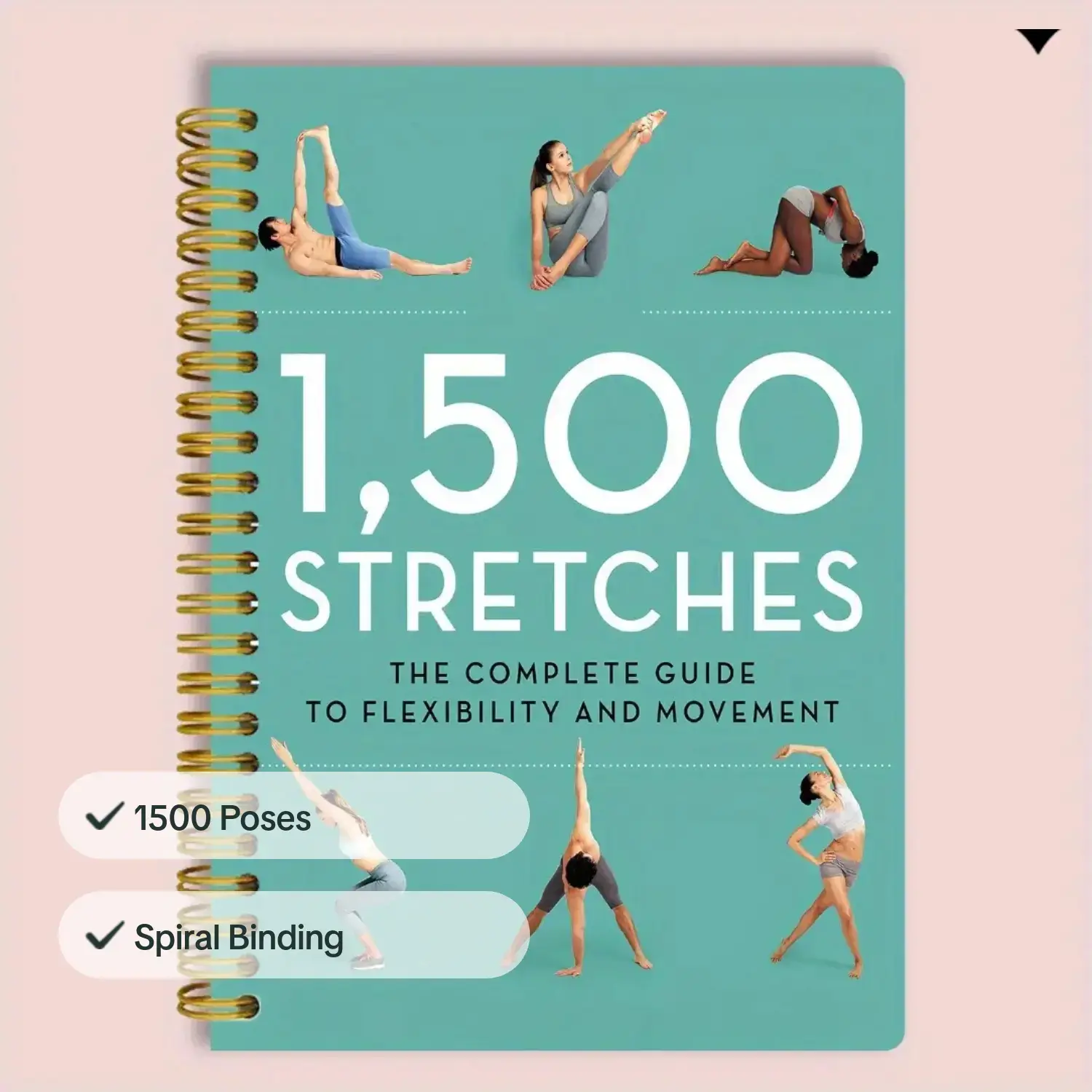 Yoga Postures & Breathing Tech - Yoga Fitness Journal recensie en prijs