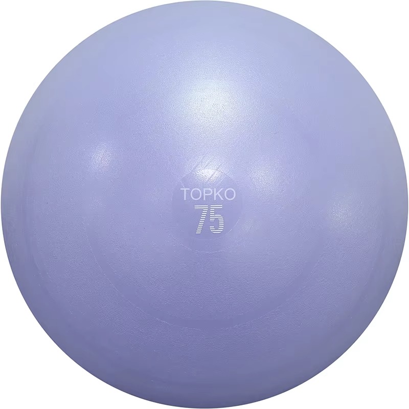 YTYIN TOPKO Yoga Ball Exercise - Exercise Ball Stability recensie en prijs