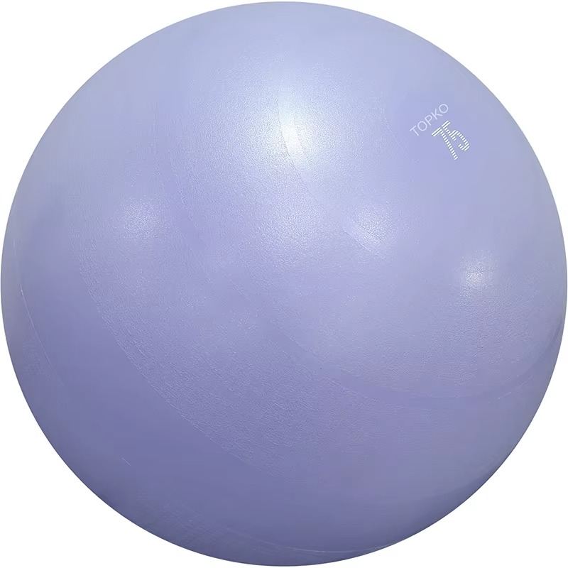 YTYIN TOPKO Yoga Ball Exercise - Exercise Ball Stability recensie en prijs